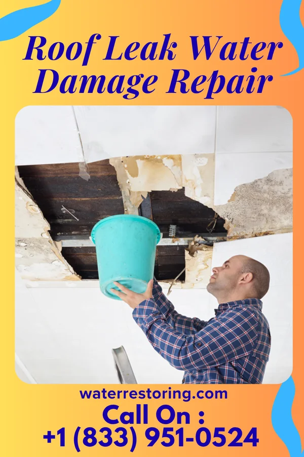 Roof Leak Water Damage Repair in Oregon, IL